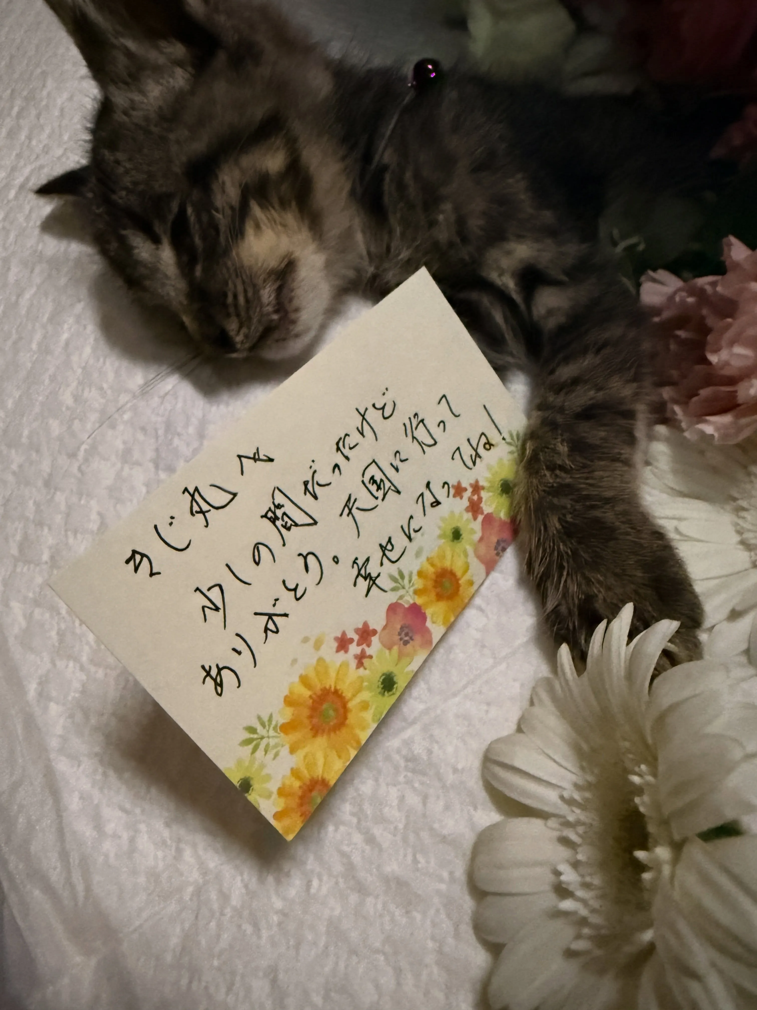 【命】